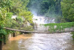 Laos kusi piękną, dziewiczą dżunglą