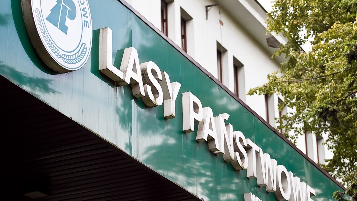 Gigantyczne nagrody dla Dyrekcji Generalnej Lasów Państwowych