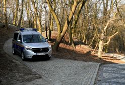 Koronawirus w Polsce. Lasy Państwowe wprowadzają tymczasowy zakaz wstępu do lasów