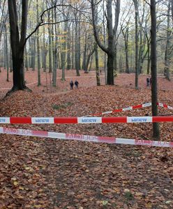 Znaleziono zwłoki niedaleko miejsca piknikowego w Katowicach. Na ciele są rany