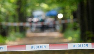 Kierowcy autobusu wybiegła na drogę sarna. 6 osób rannych