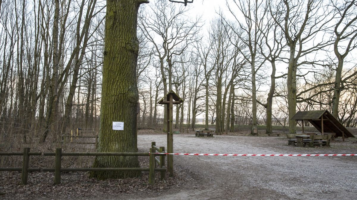 Wstęp do wielu lasów jest zamknięty, a okolice patrolują policjanci i strażnicy miejscy