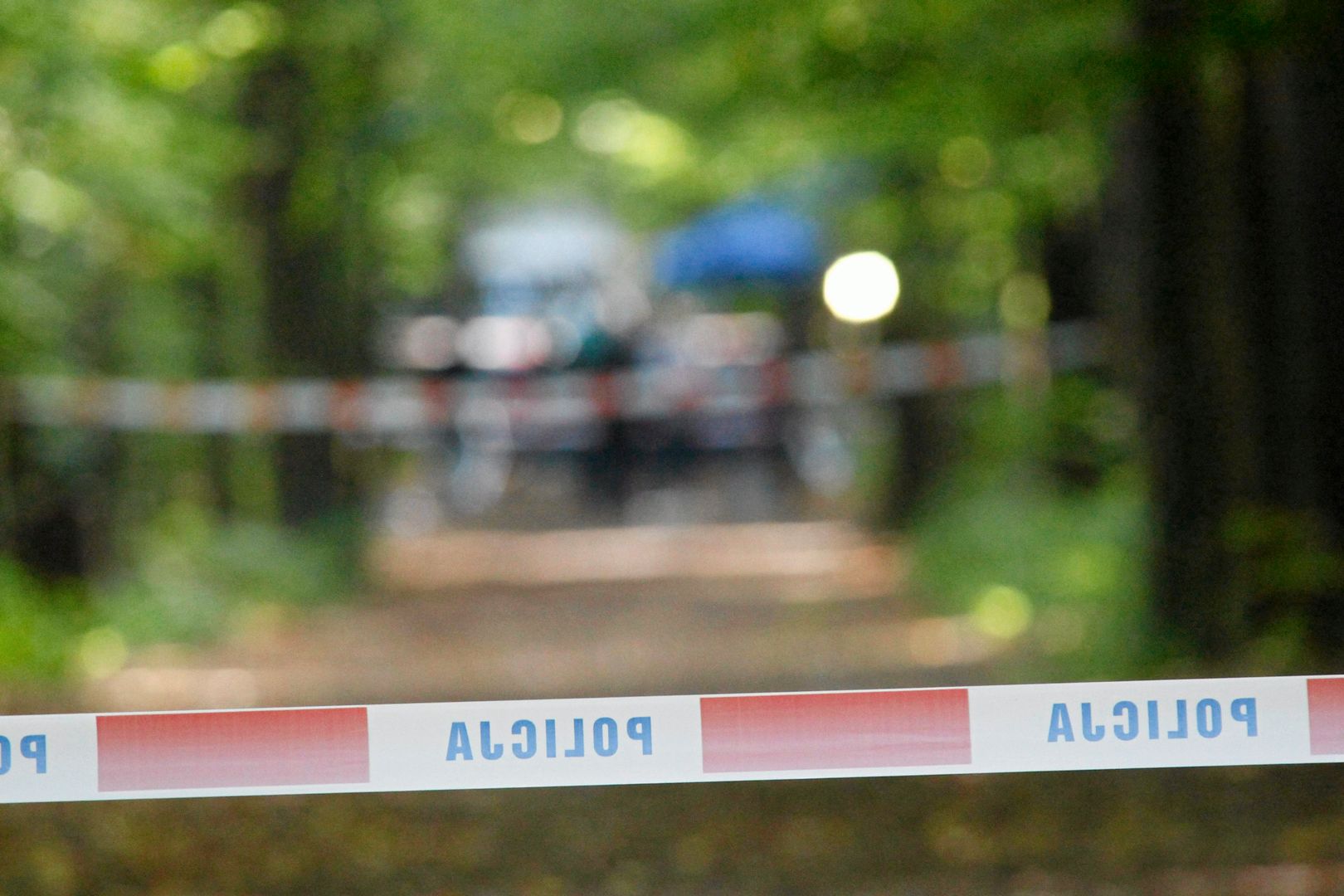 Autobus wpadł do rowu. Kierowca próbował ominąć sarnę