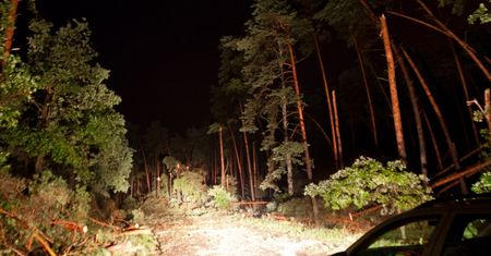 Pogoda. Podczas szalejącej wichury w lesie zgubiła się trójka dzieci