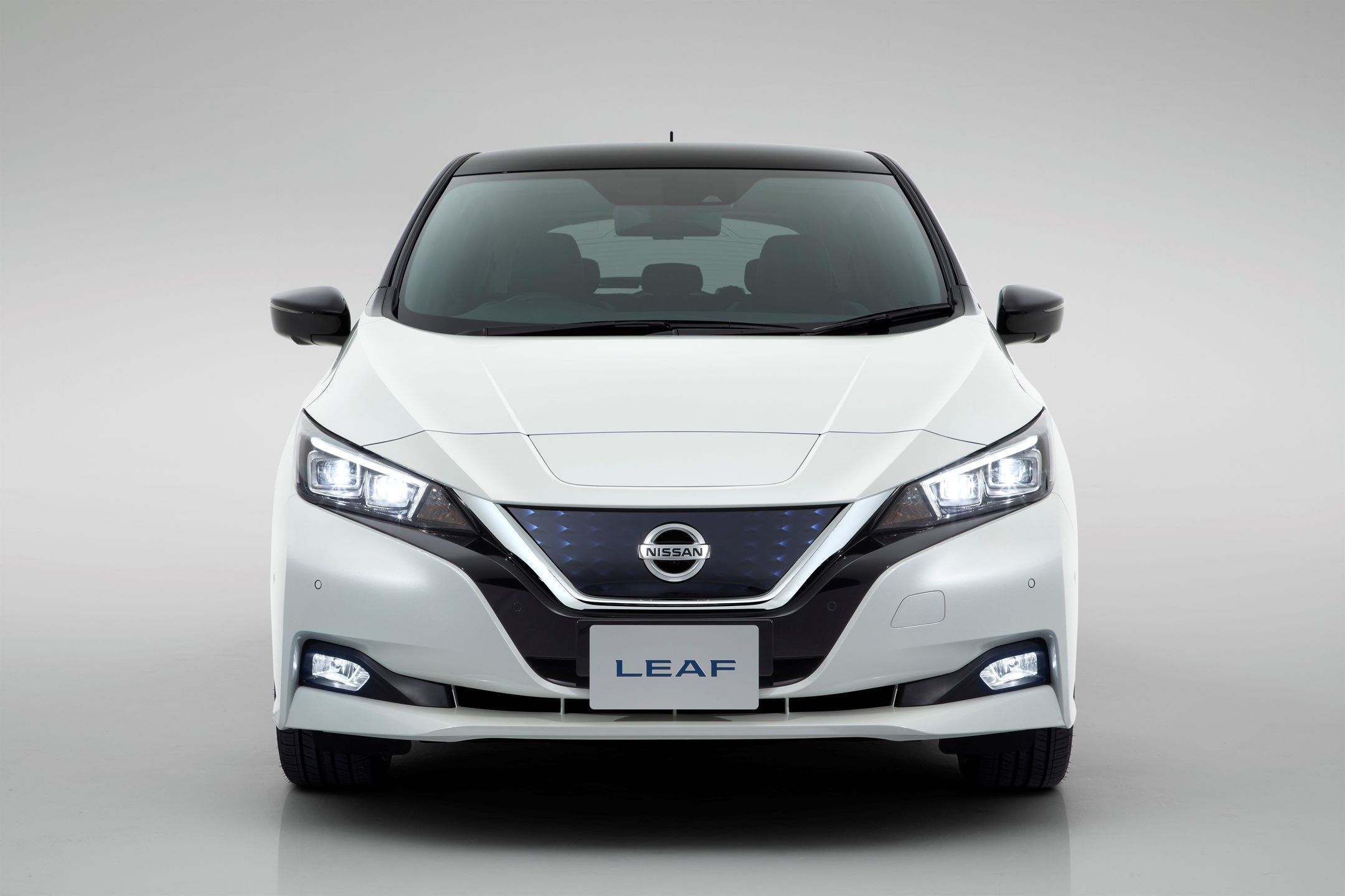 Nissan Leaf (2018) 