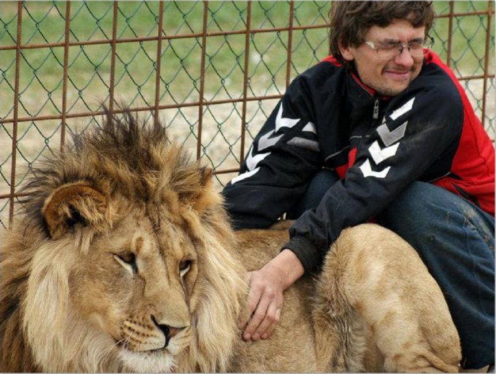 Czech zginął po ataku lwa, który mieszkał na jego podwórku 