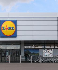 Lidl. Sieć wspólnie z Christiną Aguilerą stworzyła nową kolekcję do stylizacji