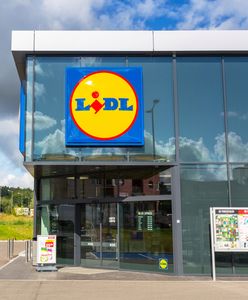 Lidl sprzedaje część zabawek drewnianych drożej w Polsce niż w Niemczech. Sieć tłumaczy