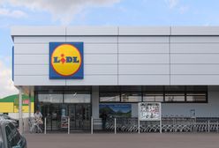 Lidl. Sieć wspólnie z Christiną Aguilerą stworzyła nową kolekcję do stylizacji