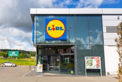 Lidl sprzedaje część zabawek drewnianych drożej w Polsce niż w Niemczech. Sieć tłumaczy