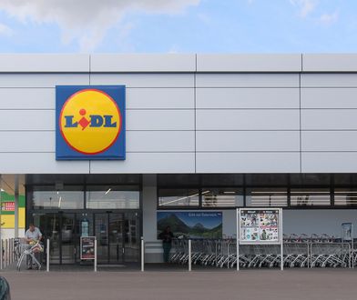 Lidl. Sieć wspólnie z Christiną Aguilerą stworzyła nową kolekcję do stylizacji