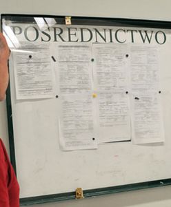 Ponad 80 proc. Polaków negatywnie ocenia urzędy pracy