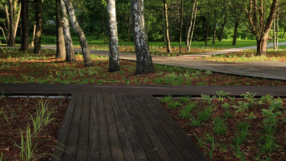 W bydgoskim parku archeolodzy odnaleźli podziemny cmentarz