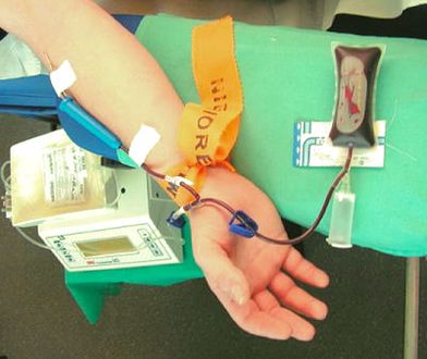 „Dlaczego krew jest tańsza od wódki?”