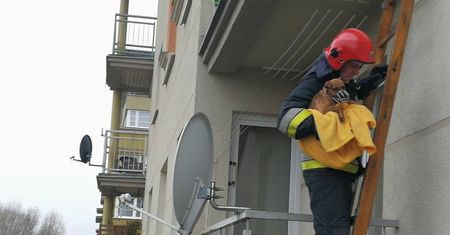 Wyrzucili na balkon szczeniaka, bo obgryzał meble. Przed wychłodzeniem uratowali go strażacy
