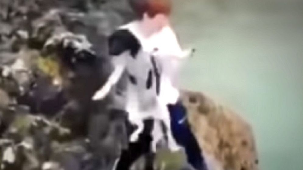 Zrzucił psa z klifu