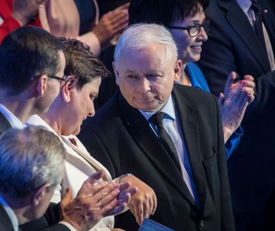 Wybory parlamentarne 2019. Ostatnie sondaże przed ciszą wyborczą