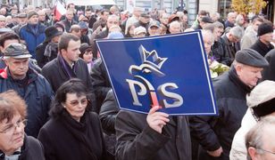 PiS miażdży PO - skąd taki wynik?