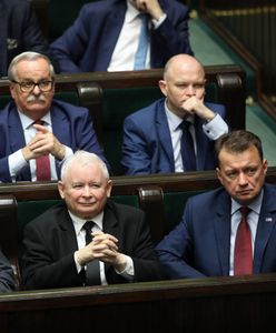 PiS ma powody do radości. Najnowsze badanie poparcia