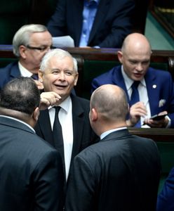 Sondaż dla "Wiadomości": PiS z dużą przewagą, SLD wraca do Sejmu
