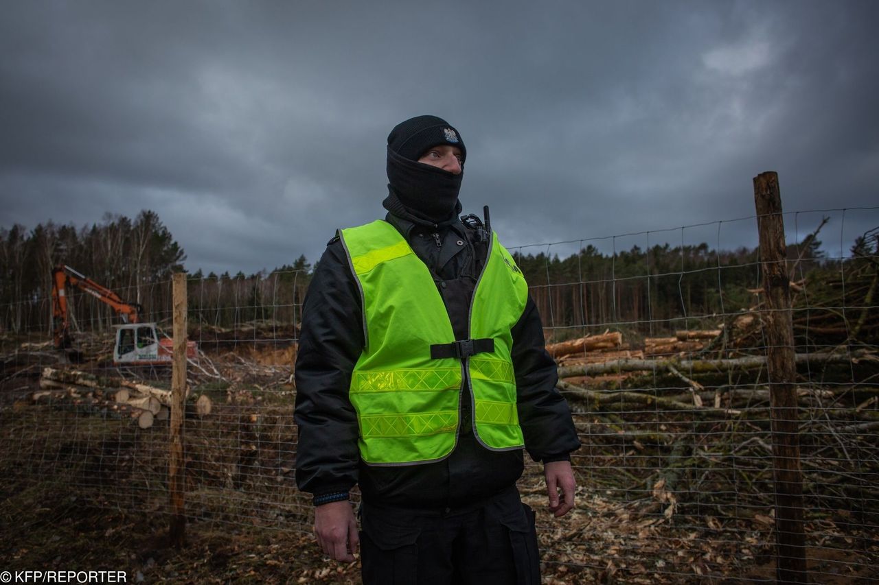 TYLKO W WP. Rżnąć, kopać, betonować. PiS dostał od Polaków zielone światło (BADANIE)