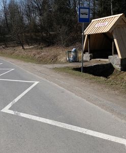 PiS chce przywrócić połączenia autobusowe. Wykluczenie komunikacyjne dotyczy milionów Polaków