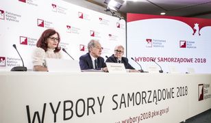 Wybory samorządowe 2018. Wyniki do rad dzielnic