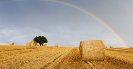 Udawał, że jest rolnikiem. Wyłudził 40 tys. zł