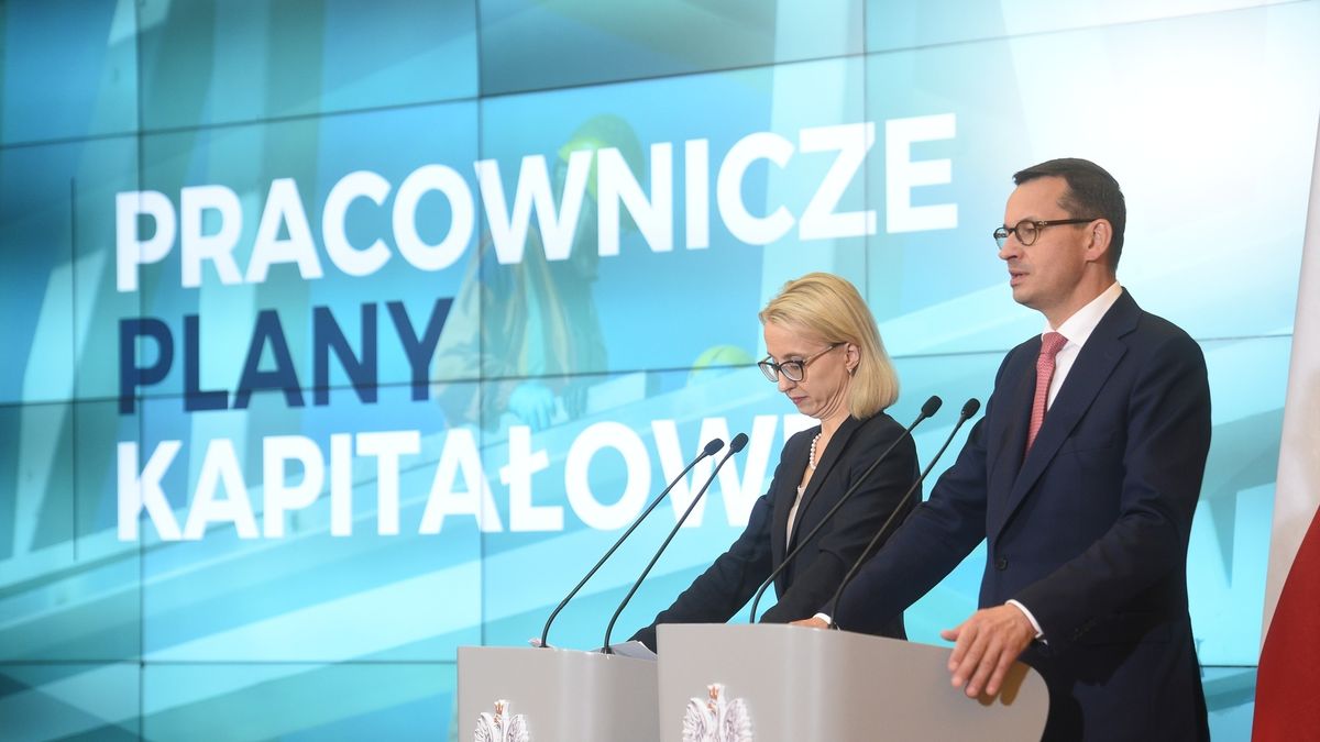 PPK. Sprawdź, na czym polega system oszczędzania i czym różnie się od OFE