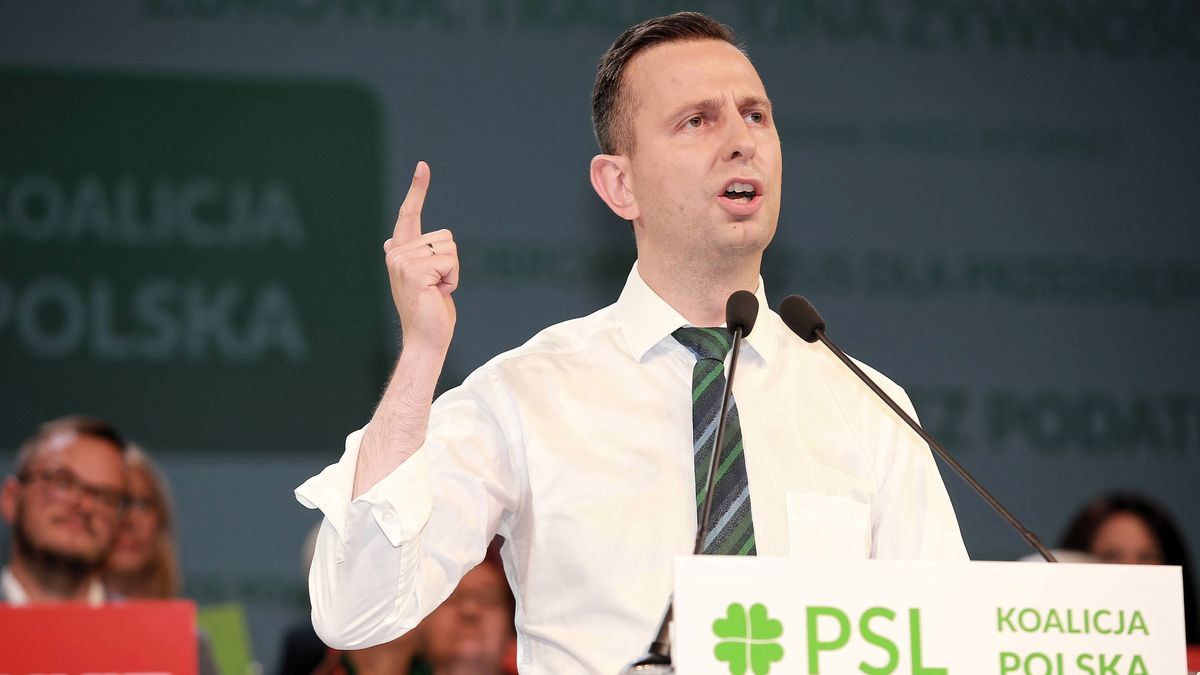 Prezes PSL Władysław Kosiniak-Kamysz przemawia podczas krajowej konwencji wyborczej. 