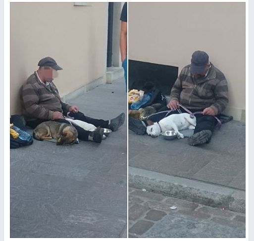 fot. Facebook screenshot 