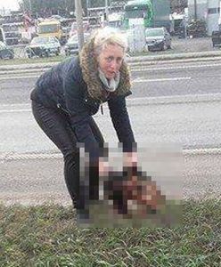 Jeździli po martwym psie na jezdni. "Niech szlag trafi ludzi!!!"