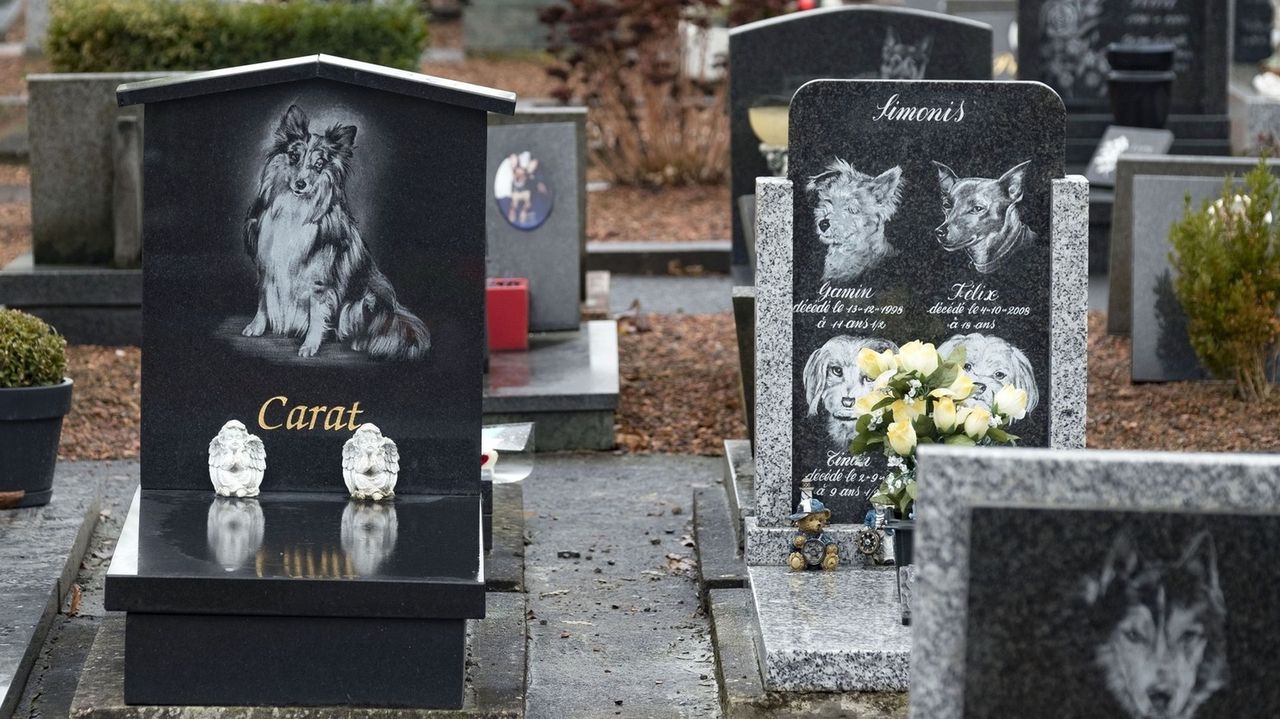 Tu spoczywa mój przyjaciel