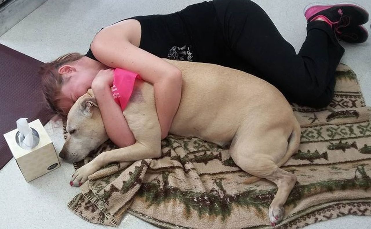 Ta historia wzrusza do łez. Pożegnanie umierającego psa