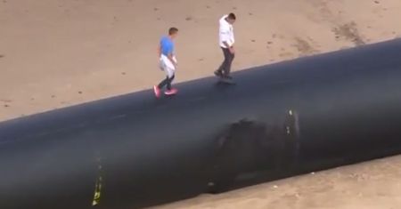 Morze wyrzuciło na plażę prawdziwego giganta. Ma prawie pół kilometra