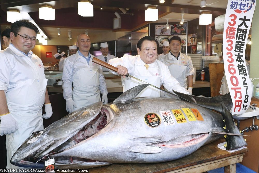 Najdroższa ryba świata. Tuńczyk sprzedany za 3,1 mln dolarów