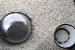 Ryż płonie niczym plastik. Podrabiane jedzenie zalewa Czarny Ląd