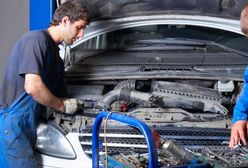 Odnieśli sukces, bo mają fach w ręku