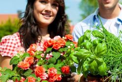 Ubyło pół miliona pracowników