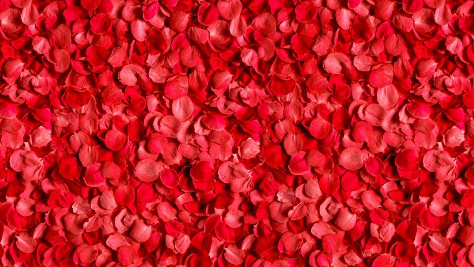 Zarówno na Bliskim Wschodzie, jak i w Afryce Północnej, płatki róż są niezwykle cennym produktem żywnościowym.