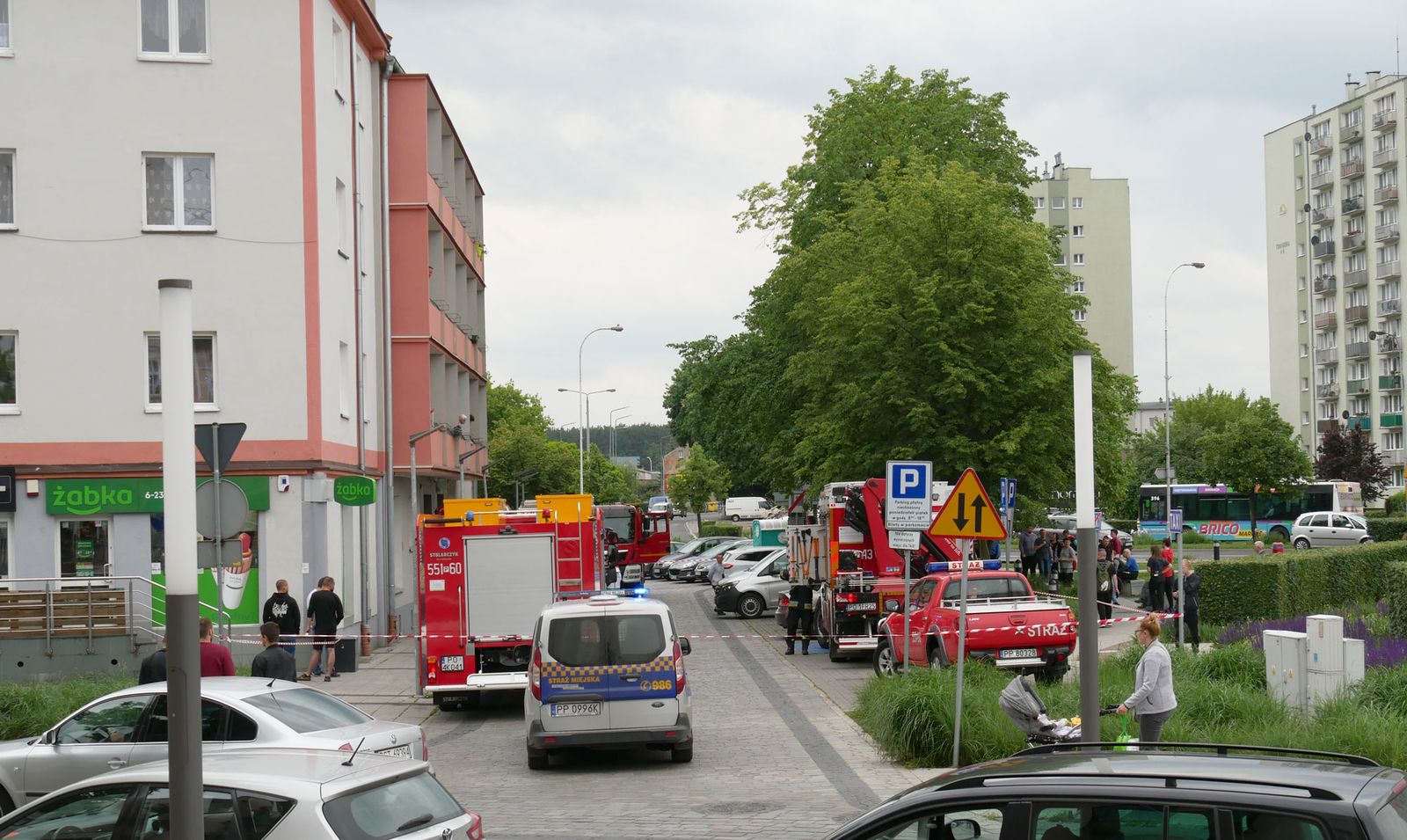 zdjęcie