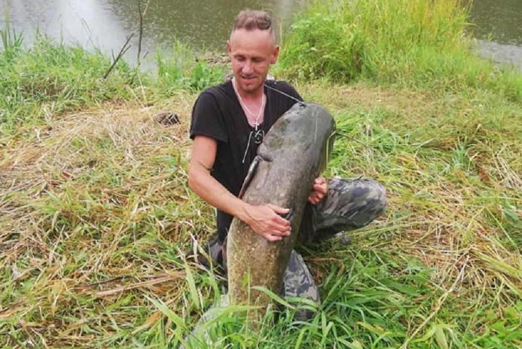 Międzychód (woj. wielkopolskie). Ogromna ryba złowiona w Warcie