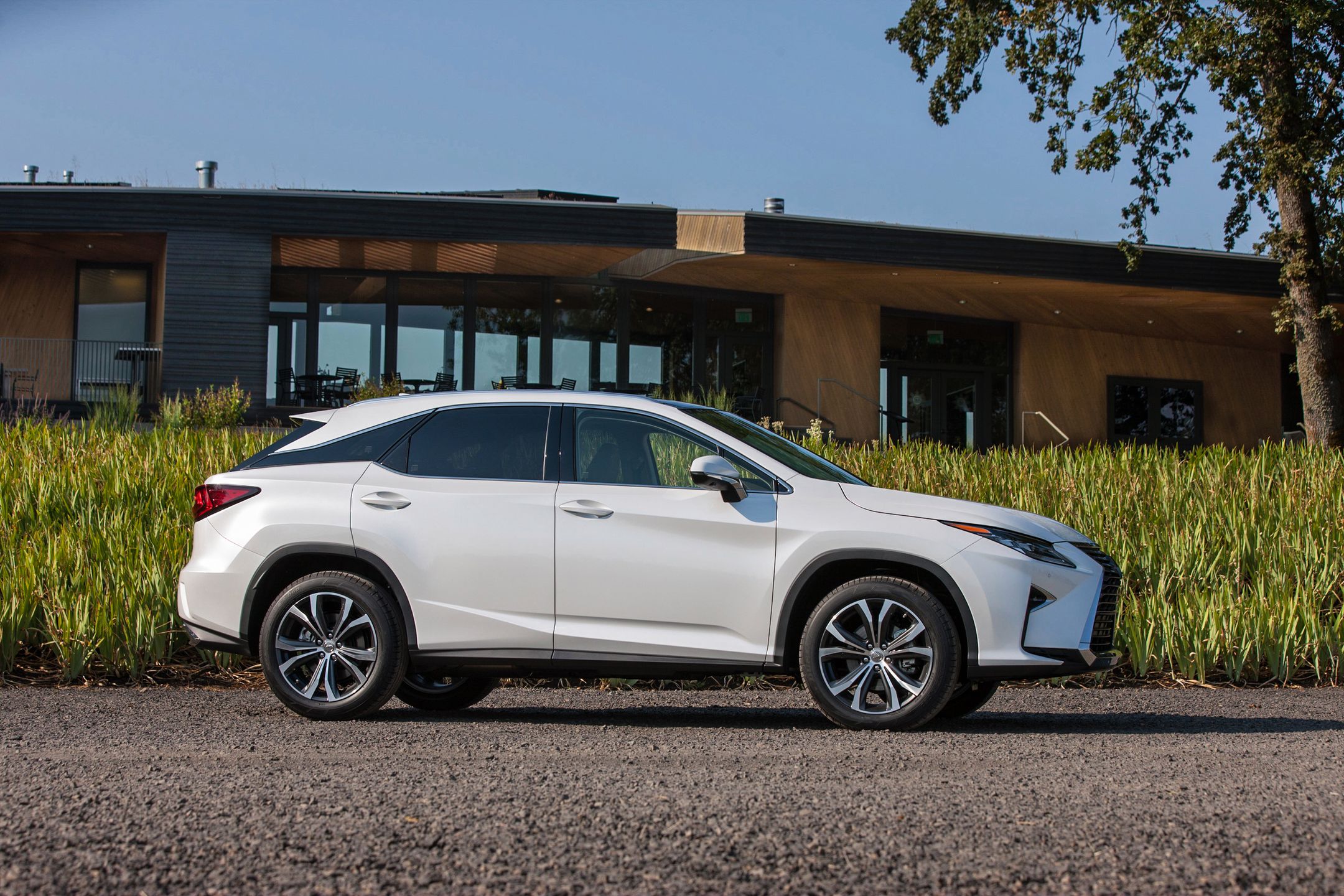 Lexus RX 350 