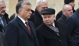 Polska z najgorszą oceną w historii. Ostre wnioski z raportu