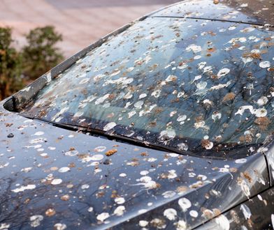 Jak skutecznie pozbyć się zabrudzenia z szyb? Mamy na to dobry sposób