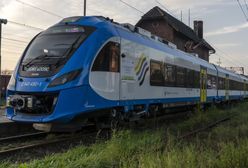 Bohaterski pies uratował życie pijanego mężczyzny. Zwierzę samo zginęło pod kołami pociągu