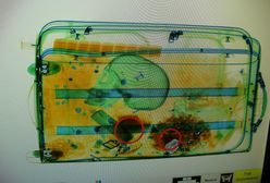 Ludzka czaszka w bagażu. Kobieta zatrzymana na lotnisku w Szczecinie