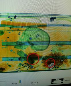 Ludzka czaszka w bagażu. Kobieta zatrzymana na lotnisku w Szczecinie