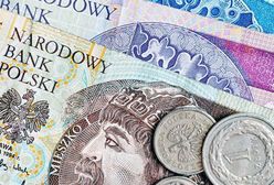 SLD chce sprawdzić zasadność podróży zagranicznych kierownictwa ZUS