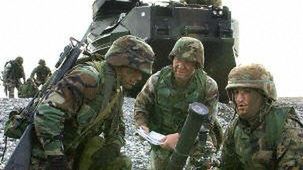 Ćwiczenia marines w Korei Południowej (fot. AFP)